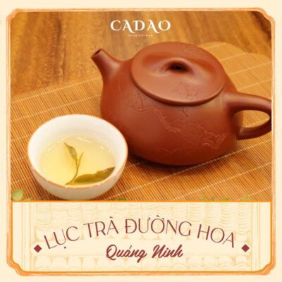 Lục trà đường hoa