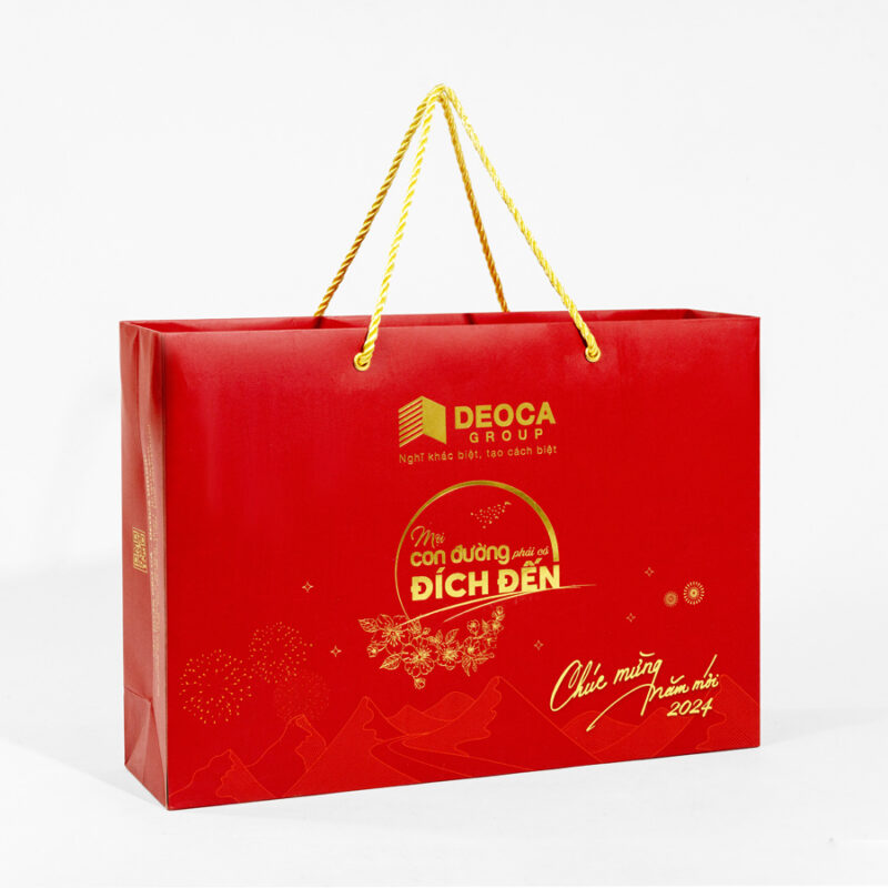 Lợi ích khi sử dụng dịch vụ in túi giấy