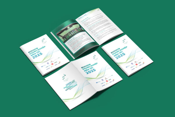 Thiết kế catalogue