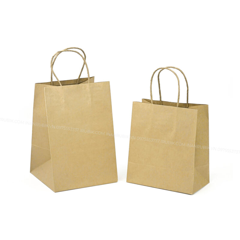Túi giấy (10)