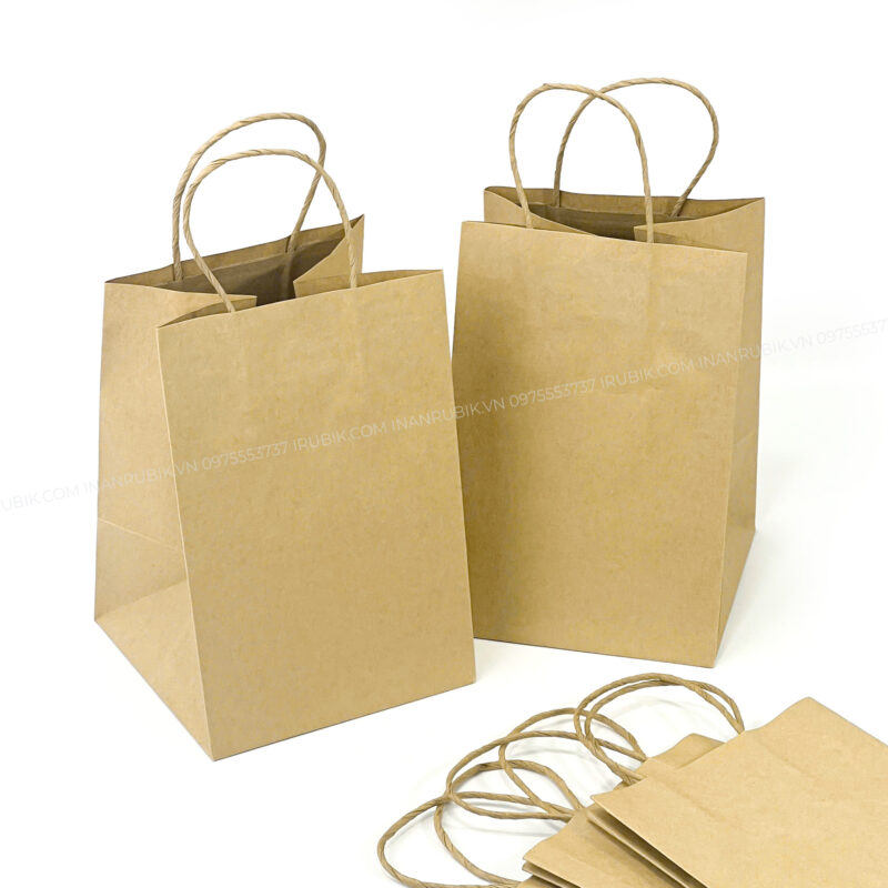 Túi giấy (13)
