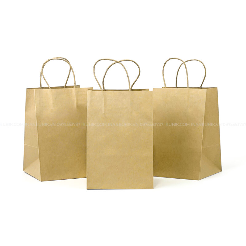 Túi giấy (14)