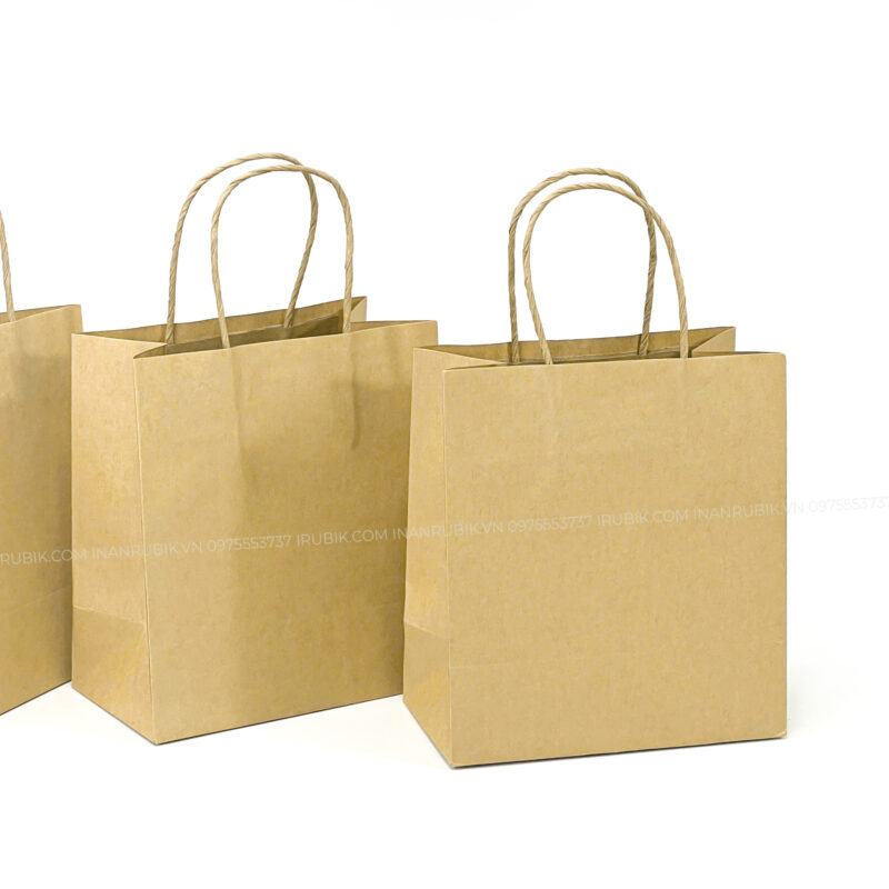 Túi giấy (3)