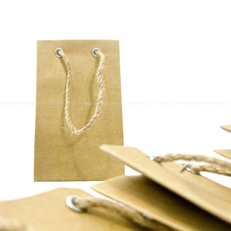 Túi giấy (3)