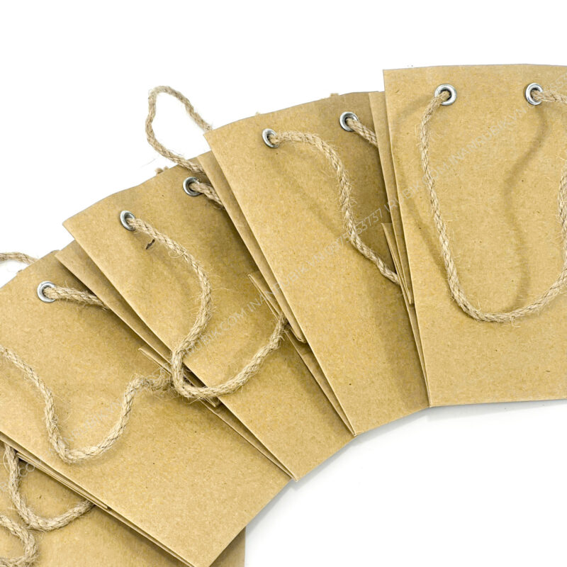 Túi giấy (4)