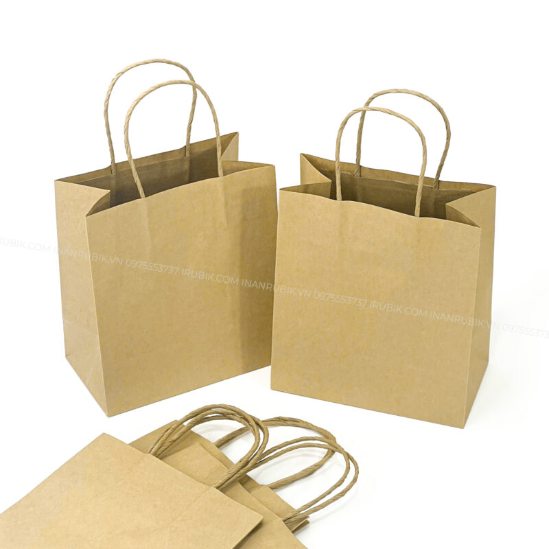 Túi giấy (5)