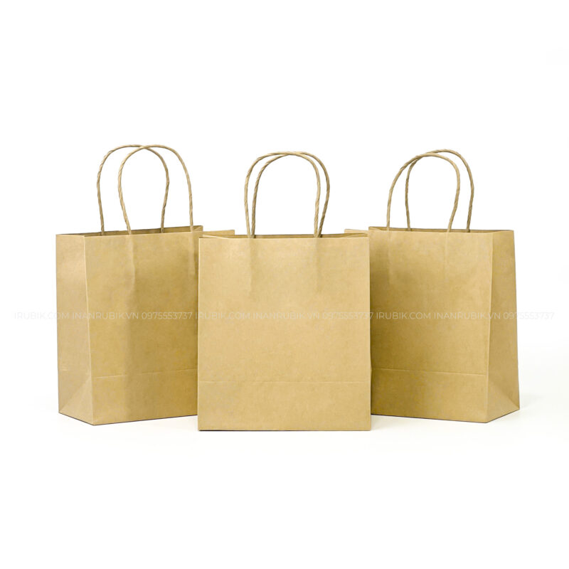 Túi giấy (6)