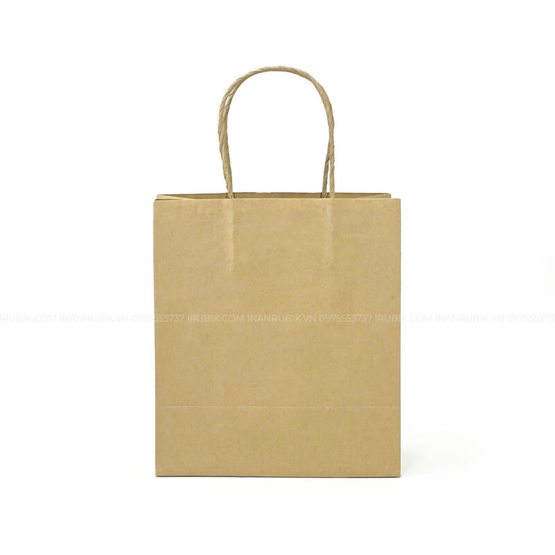 Túi giấy (8)