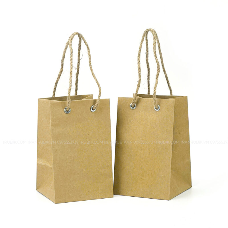 Túi giấy (8)