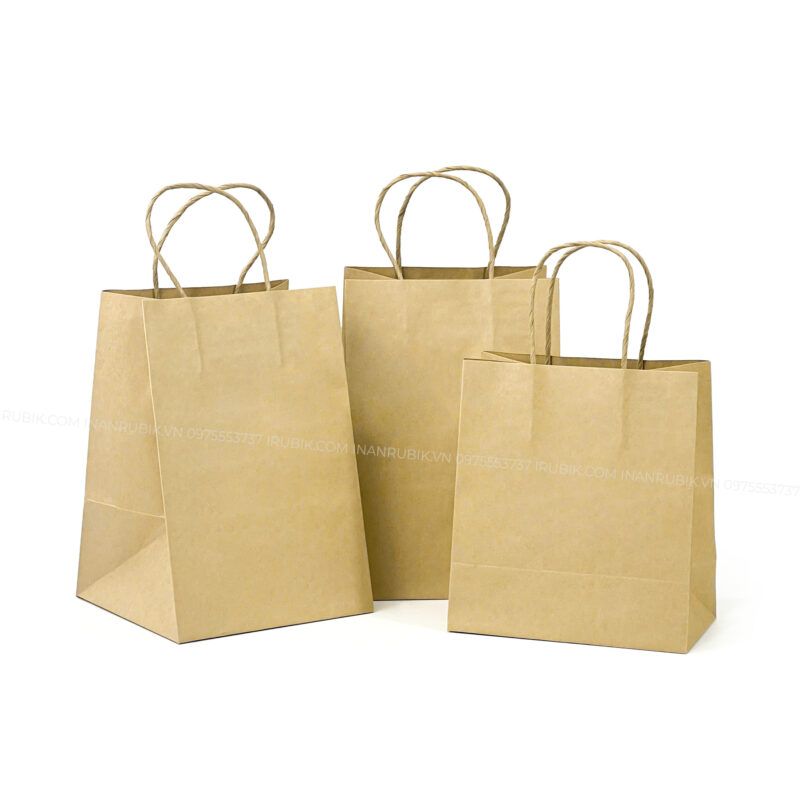 Túi giấy (9)