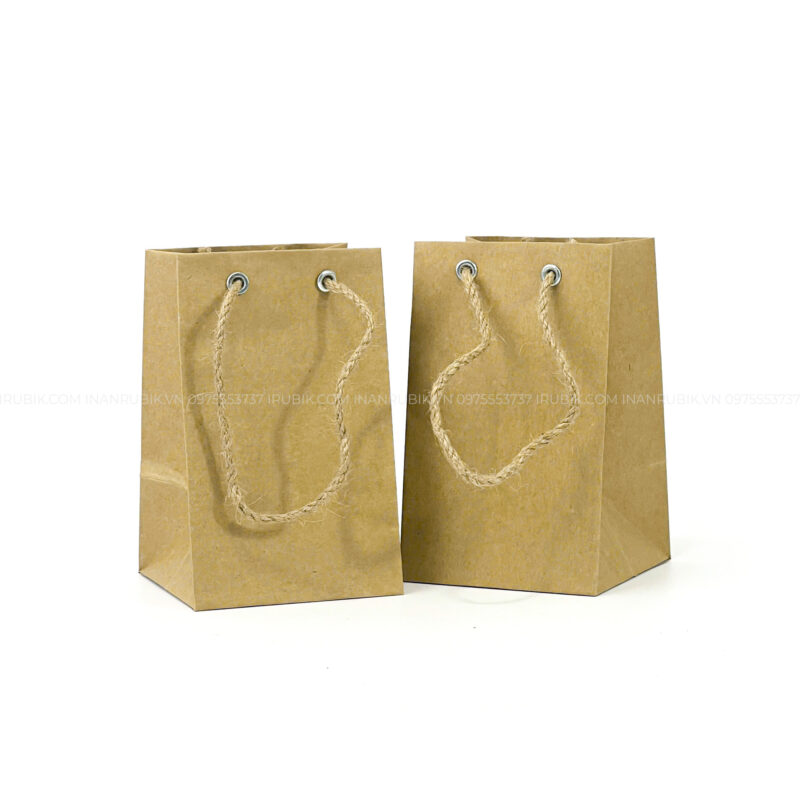Túi giấy (9)
